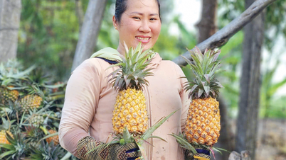 Can Tho emite oficialmente el Programa de Desarrollo de la Propiedad Intelectual hasta 2030.