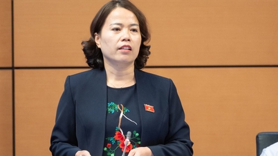 Ці політичні рішення заклали основу для розвитку країни.