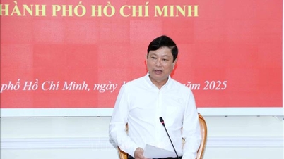 Ho Chi Minh-staden presenterar 220 kandidater till stadens folkråd.