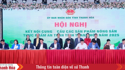 ২০২৫ সালে থান হোয়া প্রদেশে নিরাপদ কৃষি ও খাদ্য পণ্যের সরবরাহ ও চাহিদার মধ্যে সংযোগ স্থাপন।