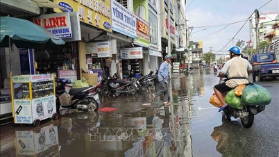 Ca Mau secara proaktif mengoperasikan sistem pintu airnya untuk mengatasi gelombang pasang.