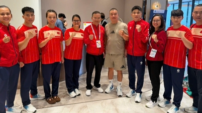 제33회 동남아시아 경기대회: 종합격투기가 '금메달 열풍'을 일으킬까?