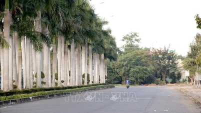 У провінції Ламдонг прискорюється будівництво дорожнього проєкту вартістю майже 5 трильйонів донгів, що з'єднує швидкісну автомагістраль з Фантхьєтом.