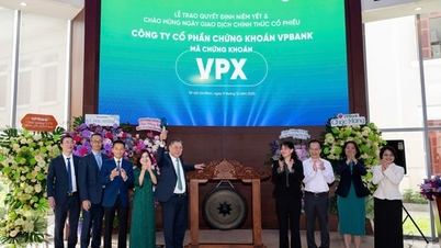 ແມ່ນຫຍັງພິເສດກ່ຽວກັບຮຸ້ນຂອງ VPBank, ເຊິ່ງໄດ້ເປີດເຜີຍສາທາລະນະຢ່າງໄວວາ?