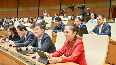 Urychleně přezkoumat a finalizovat pracovní pozice tak, aby odpovídaly restrukturalizovanému organizačnímu aparátu.