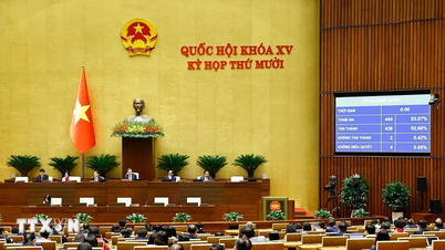 В рамках Закона о специализированных судах в Международном финансовом центре