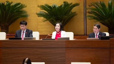 Národní shromáždění schválilo usnesení o řadě zvláštních mechanismů a politik na ochranu, péči a zlepšení zdraví lidí.