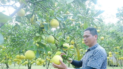 Effective communication, sustainable poverty reduction.