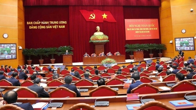 174 officials under central government management were disciplined during the term.