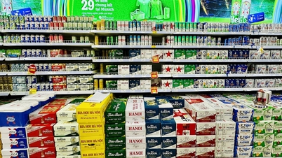 State management hierarchy for food safety in the industry and trade sector in Bac Ninh province.