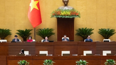 ຄົວເຮືອນ ​ແລະ ບຸກຄົນ​ທີ່​ດຳ​ເນີນ​ທຸລະ​ກິດ​ການ​ຜະລິດ ​ແລະ ດຳ​ເນີນ​ທຸລະ​ກິດ​ທີ່​ມີ​ລາຍ​ຮັບ​ປີ​ລະ 500 ລ້ານ​ດົ່ງ​ຂຶ້ນ​ໄປ​ແມ່ນ​ໄດ້​ຮັບ​ການ​ຍົກ​ເວັ້ນພາສີ​ອາກອນ.