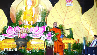 La contribution du Vietnam à la célébration de Vesak 2025