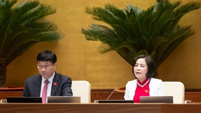 Die Nationalversammlung hat eine Entschließung zur Investition in das nationale Zielprogramm für Gesundheitswesen, Bevölkerung und Entwicklung verabschiedet.