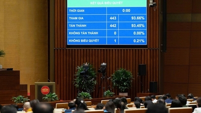 A Da Nang se le han concedido mecanismos especiales adicionales en relación con las zonas de libre comercio, promoviendo el DOT (Desarrollo Orientado al Tránsito).