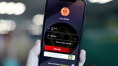 'Asistente fiscal personal' apoya a los contribuyentes.