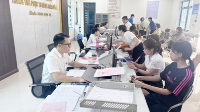 يُخوّل لاو كاي إدارة الإجراءات الإدارية في القطاع الزراعي.