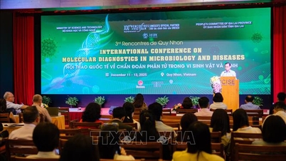 Taller internacional sobre diagnóstico molecular en microbiología y enfermedades