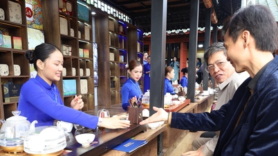 Celebrating Vietnamese tea culture and creating new products for Hue tourism.