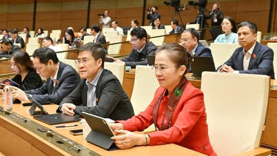 ई-सिगरेट और गर्म तंबाकू उत्पादों के कारोबार पर प्रतिबंध लगाना, सशर्त निवेश क्षेत्रों की संख्या में 38 की कमी करना।