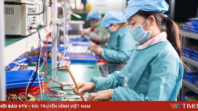 Eksporten slår rekorder: Høy vekst, stort press.