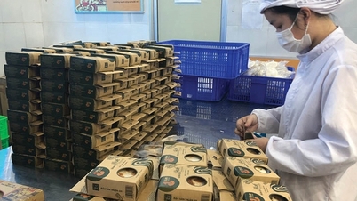 知的財産権は企業にとって重要な「盾」になりつつあります。