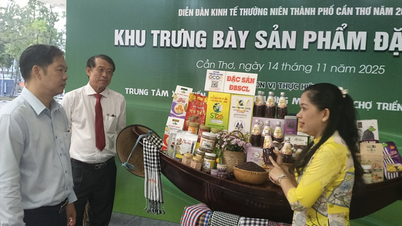 メコンデルタ地域における商標登録の困難をいかに克服するか。