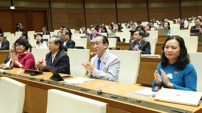 Perhimpunan Negara meluluskan pindaan dan penambahan kepada Resolusi 98, mengeluarkan satu siri mekanisme khas untuk Bandaraya Ho Chi Minh.