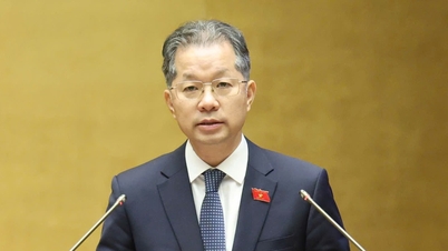 Wujudkan mahkamah khusus yang terletak di Ho Chi Minh City.