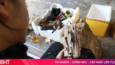 沈香生産の「首都」ハティン省を、一年で最も忙しい時期に訪問。