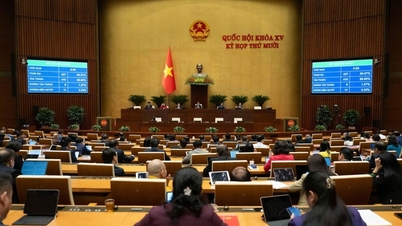 الاستثمار في مشروع بناء مطار جيا بينه الدولي: "سيتم ربط السكان الذين أعيد توطينهم بالمواقع التاريخية في المنطقة التي تم نقلهم إليها".