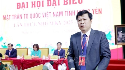 Діяльність Вітчизняного фронту сильно орієнтована на низові групи.