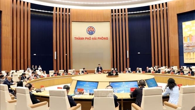 ثلاث رسائل، وثلاثة مطالب، ورؤية جديدة لمنطقة هاي فونغ للتجارة الحرة.