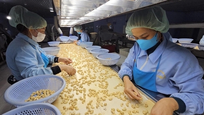 Berapa banyak protein yang diperlukan oleh orang dewasa yang lebih tua setiap hari?