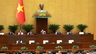 پارلمان تأسیس یک دادگاه تخصصی در مرکز مالی با قضات خارجی را نهایی می‌کند.