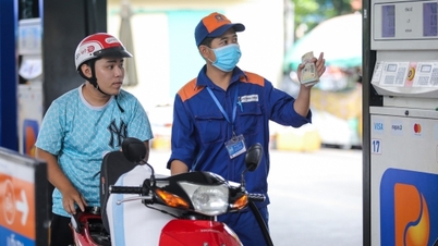 Ceny pohonných hmot prudce klesly v období cenové úpravy 11. prosince 2025.