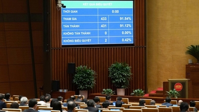 건강 보험 기금은 특정 질병의 검진, 진단 및 조기 치료를 보장합니다.