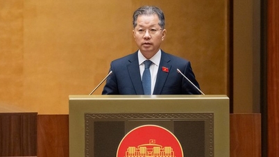 Înființarea unui tribunal specializat pentru Centrul Financiar Internațional.