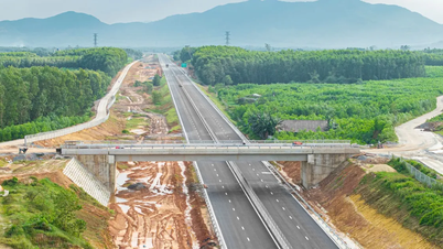 Una vista de cerca de la autopista Quang Ngai - Hoai Nhon antes de su inauguración.
