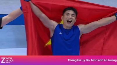 این مدال طلا در مجموع مدال‌های تیم ویتنام لحاظ نشده است.