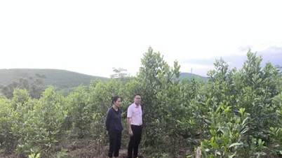 Policy credit opens a path out of poverty in Quy Chau.