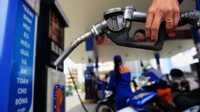 Harga bensin mendekati 20.000 VND/liter.