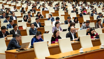 호치민시에 자유무역지대 시범 사업을 통해 더 큰 권한을 부여합니다.