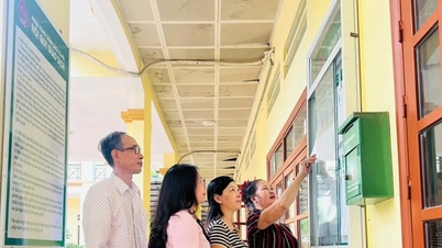 Preferenční úvěry pomáhají Thuong Tin dosáhnout udržitelného snižování chudoby.