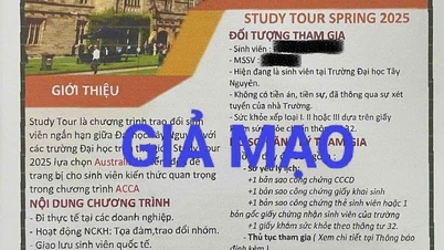 Університет Тай Нгуєн попереджає про шахрайство, пов'язане зі студентським обміном та міжнародним навчальним досвідом.