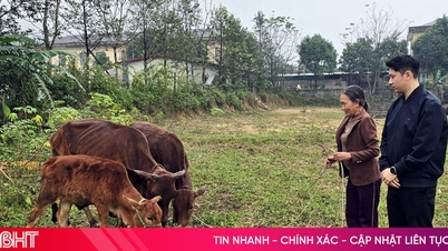 Кай Лак зменшує бідність за допомогою відповідних моделей.