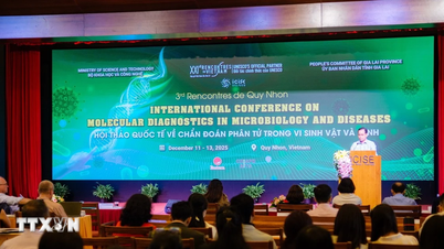 Hampir 100 saintis antarabangsa menghadiri bengkel diagnostik molekul di Vietnam.