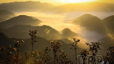 雲狩りの季節のディエンビエン。