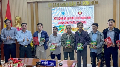 ประชาชนใน 2 เขตและ 10 ตำบล ได้รับความช่วยเหลือด้านการผลิตหลังภัยพิบัติทางธรรมชาติ