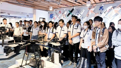 Model inovasi mengubah landskap keusahawanan di Vietnam.