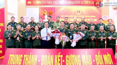 Эффективность движения, основанного на соревновательном подражании, среди ветеранов войны.